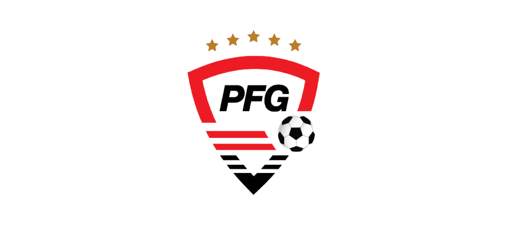 Na czym polega projekt Professional Football Group?